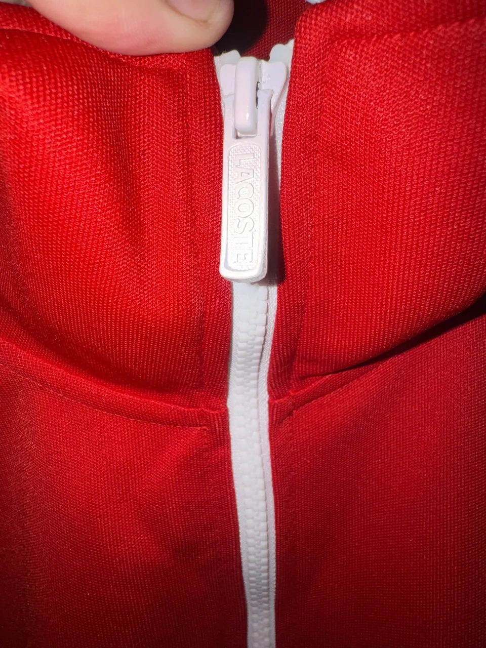 Buzo Lacoste - imagen 5