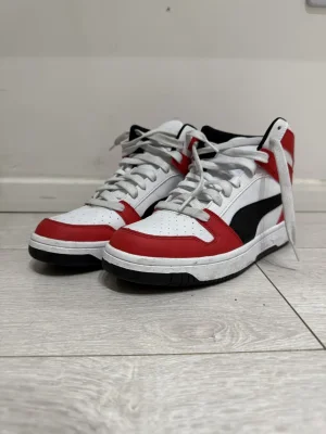 Puma