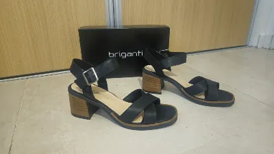 Briganti