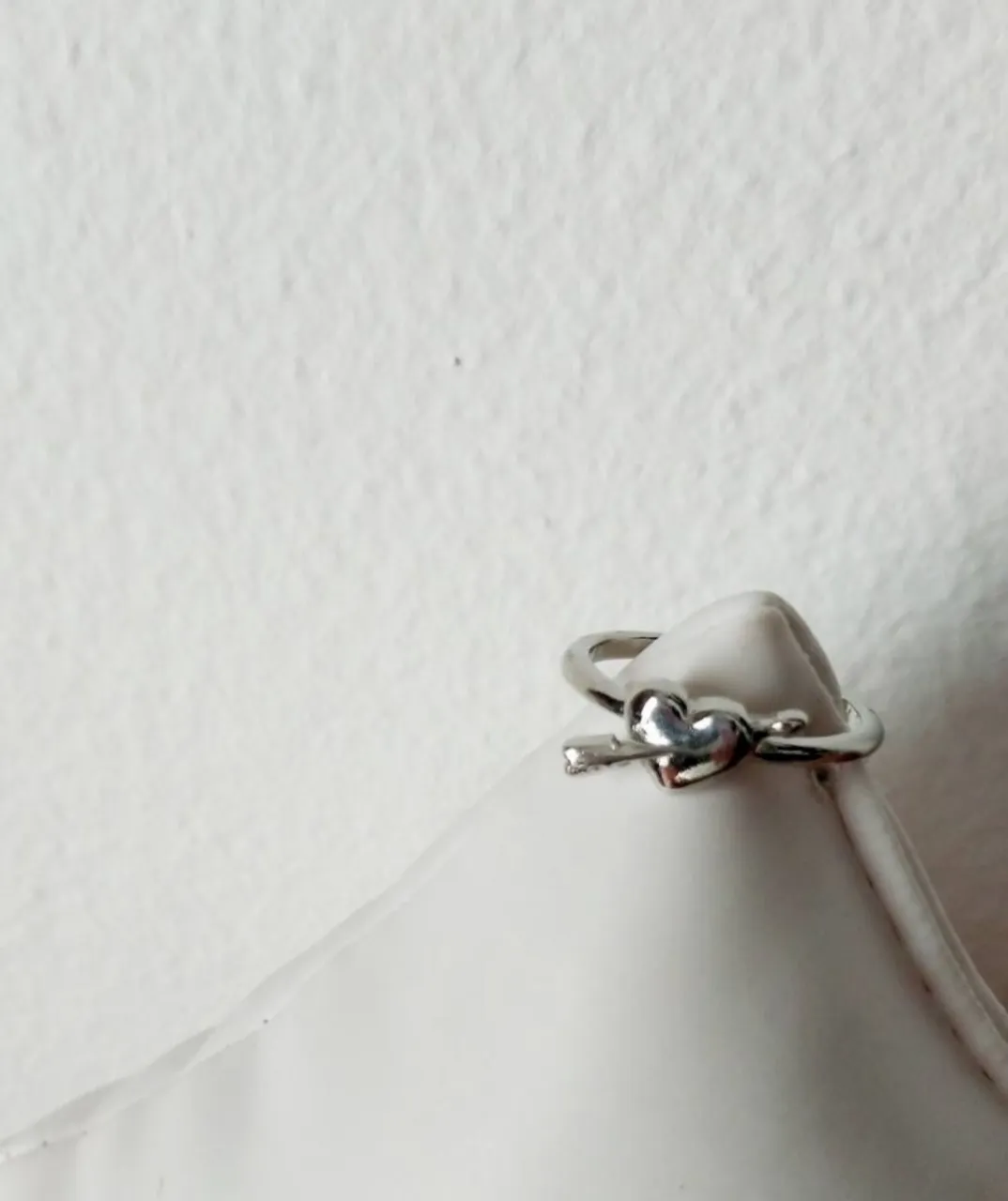 Anillo Clona - Vista 2