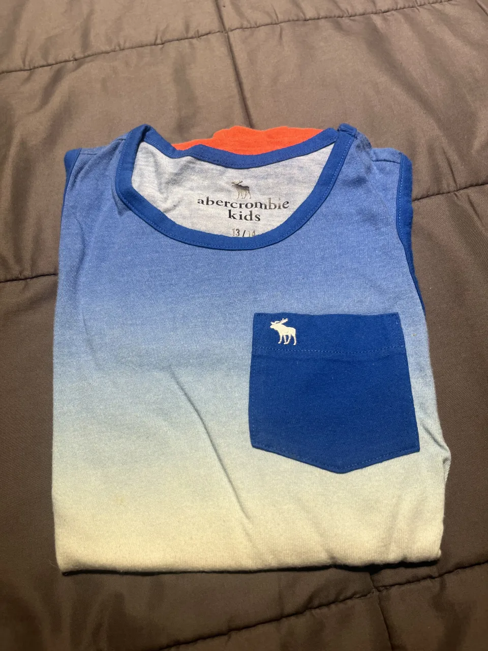 Remera Abercrombie & Fitch - imagen 2