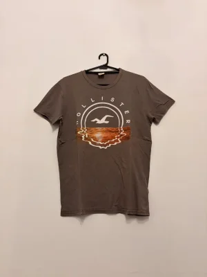 Hollister