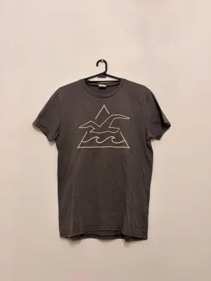 Hollister