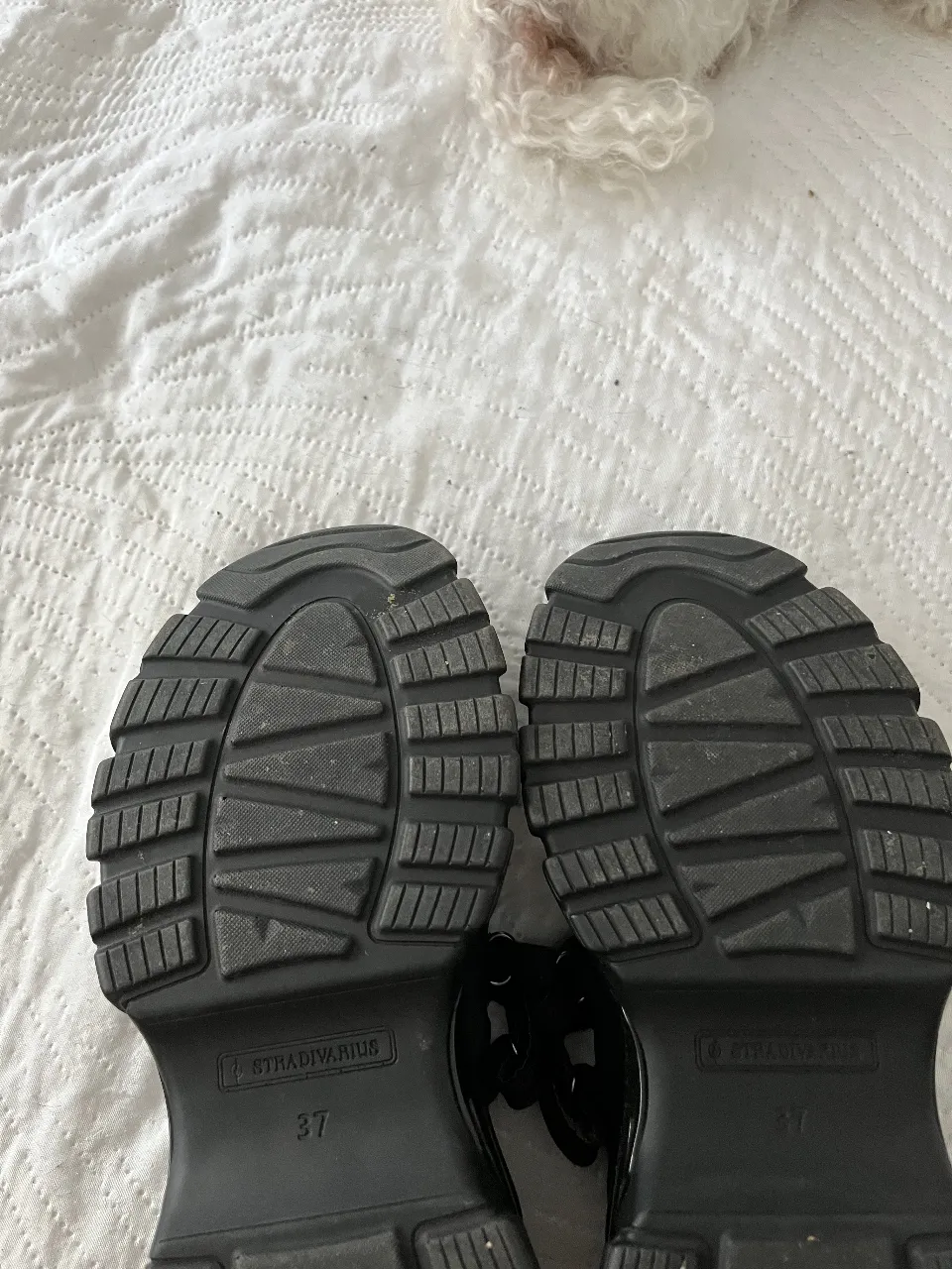 Zapatillas Stradivarius - imagen 3