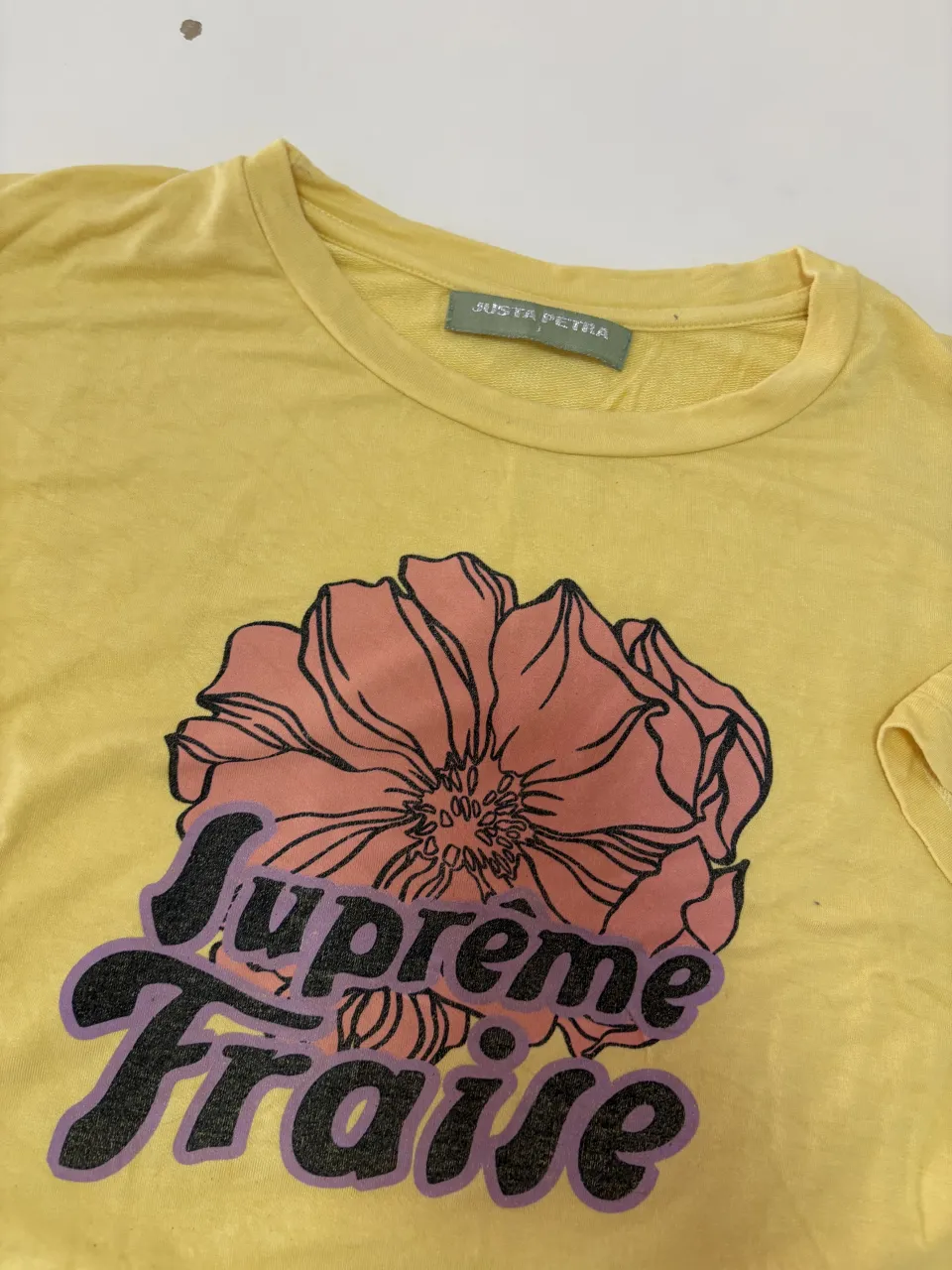 Remera Justa Petra - imagen 2
