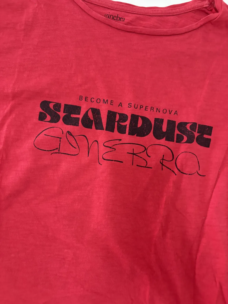 Remera Ginebra - imagen 2