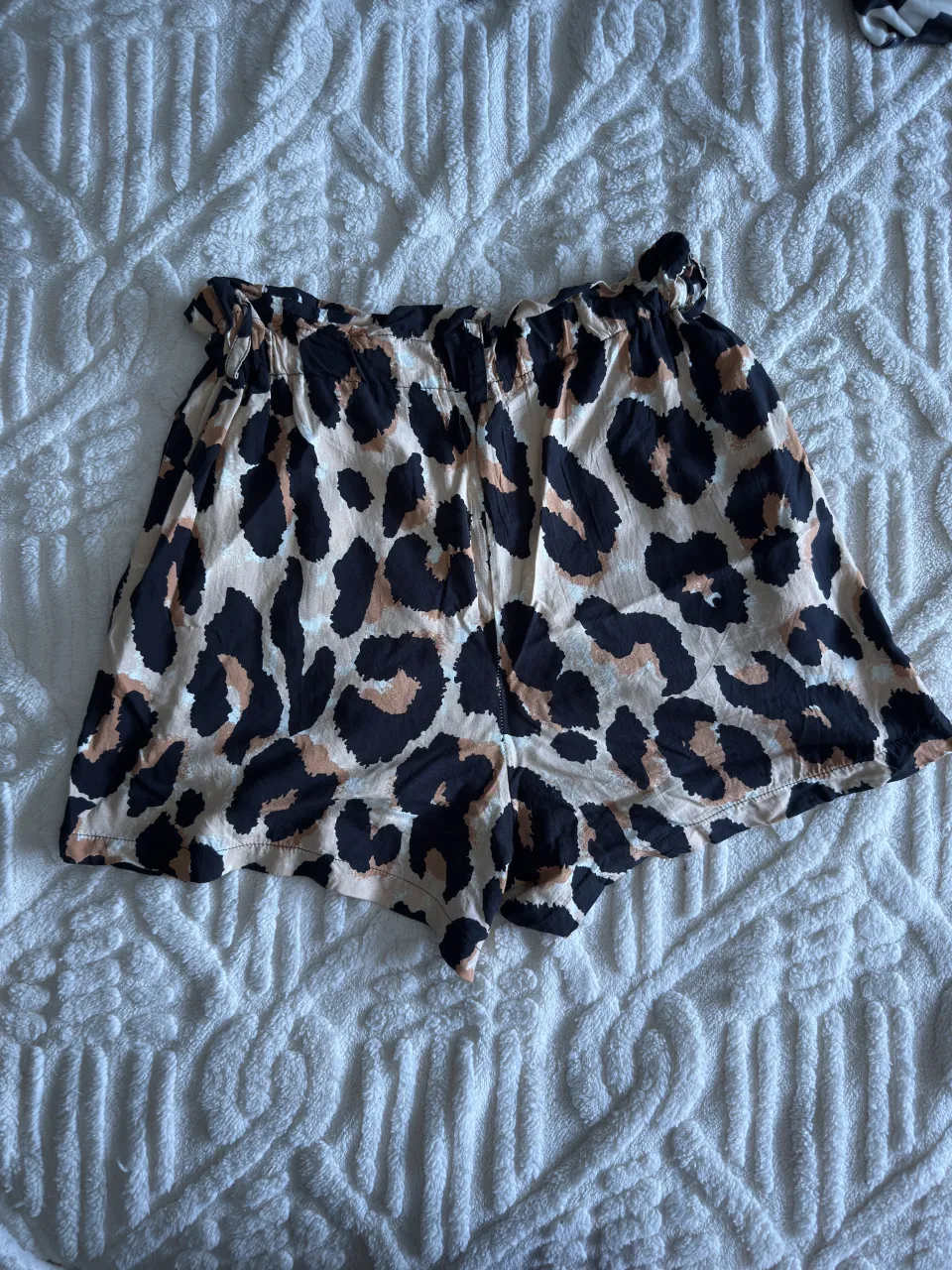 Short Showroom - imagen 2