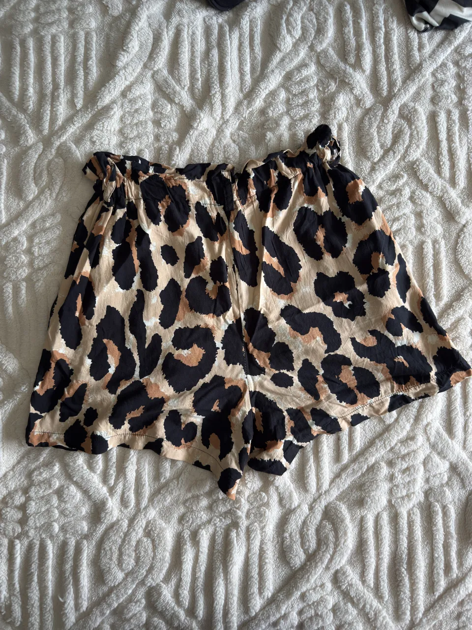Short Showroom - imagen 1