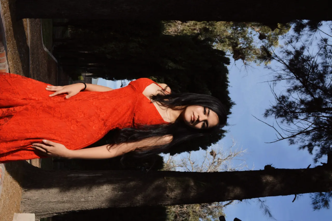 Vestido Zara - imagen 3