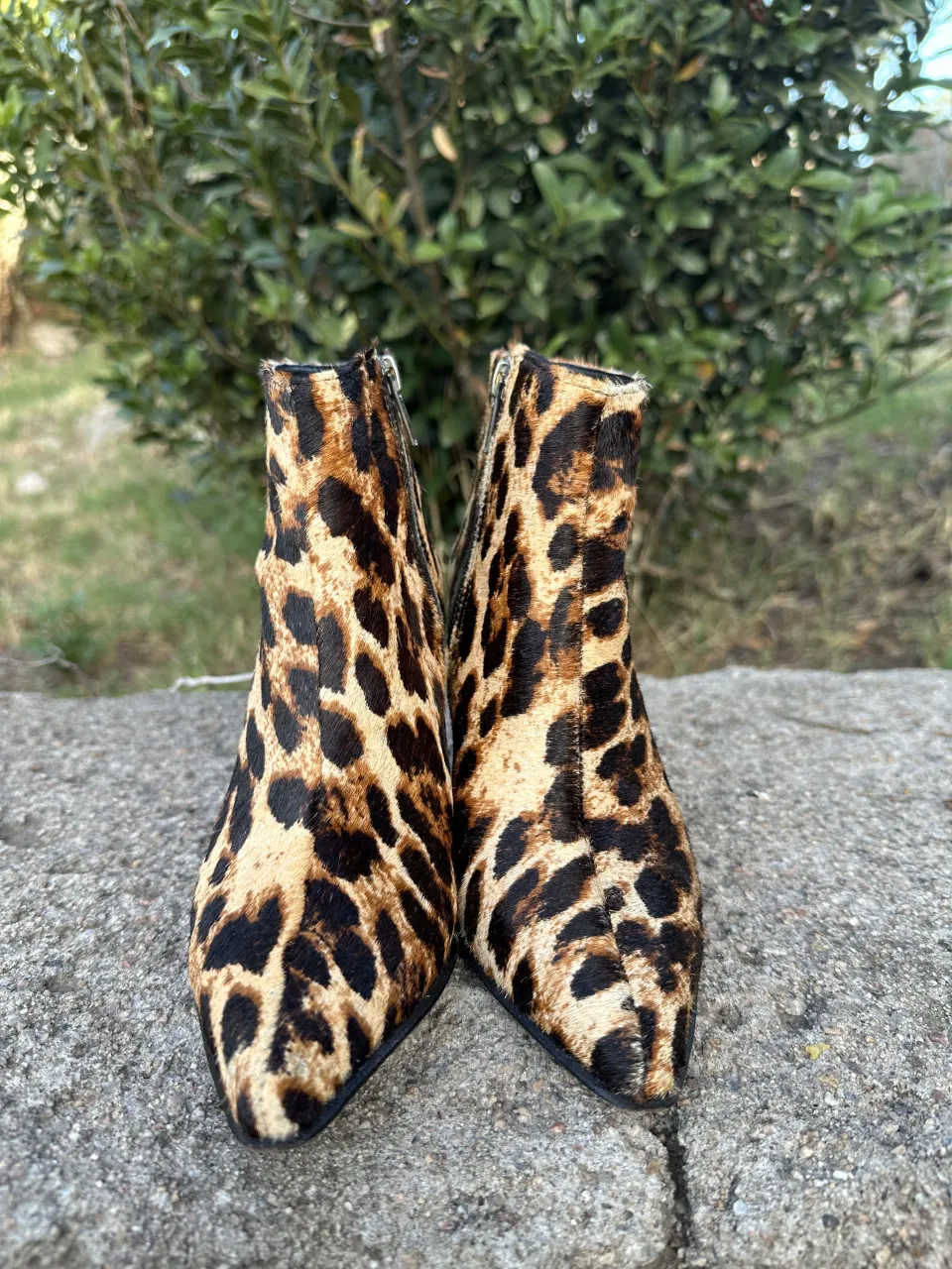 Botas Sarkany - imagen 8