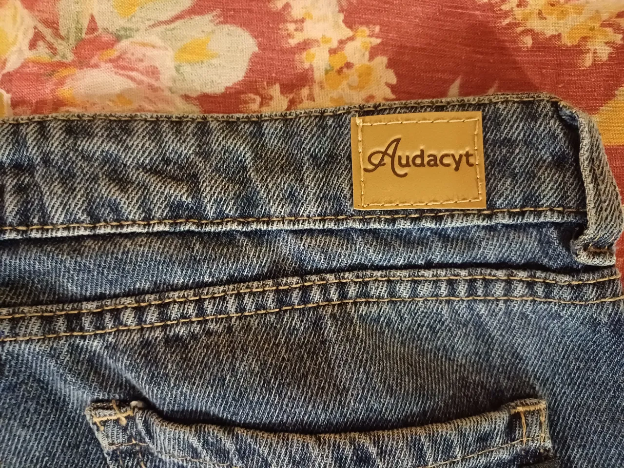 Jean Audacyt - imagen 6