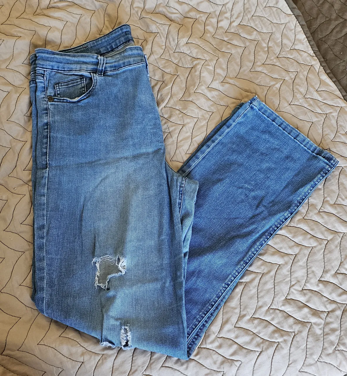 Jean Torine - imagen 2