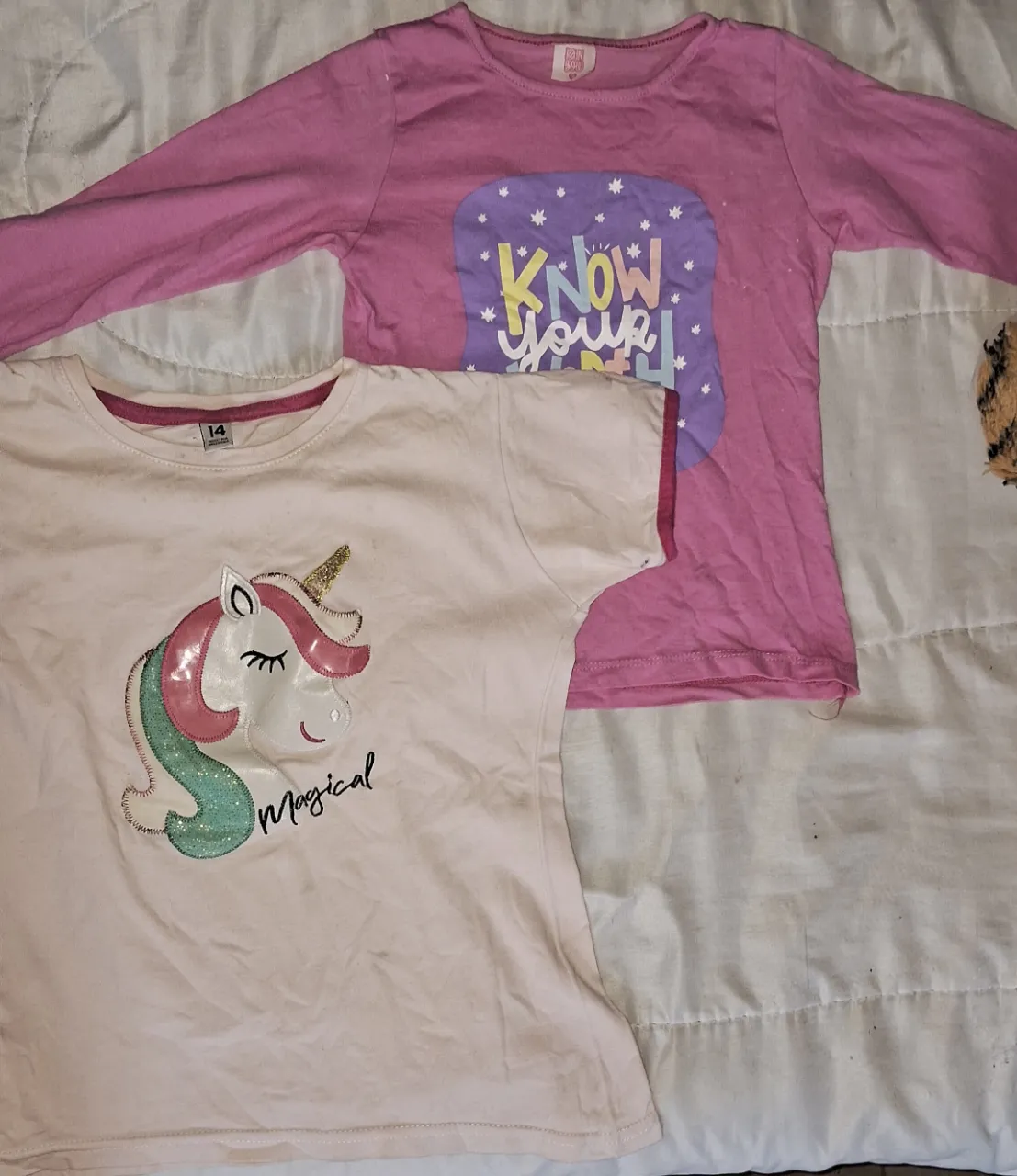 Remera Generica - imagen 1