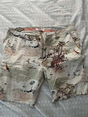 Zara Man
