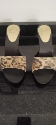 Sarkany