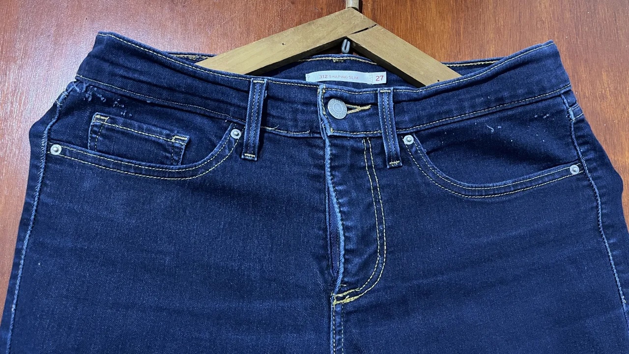 Jean Levi's miniatura 4
