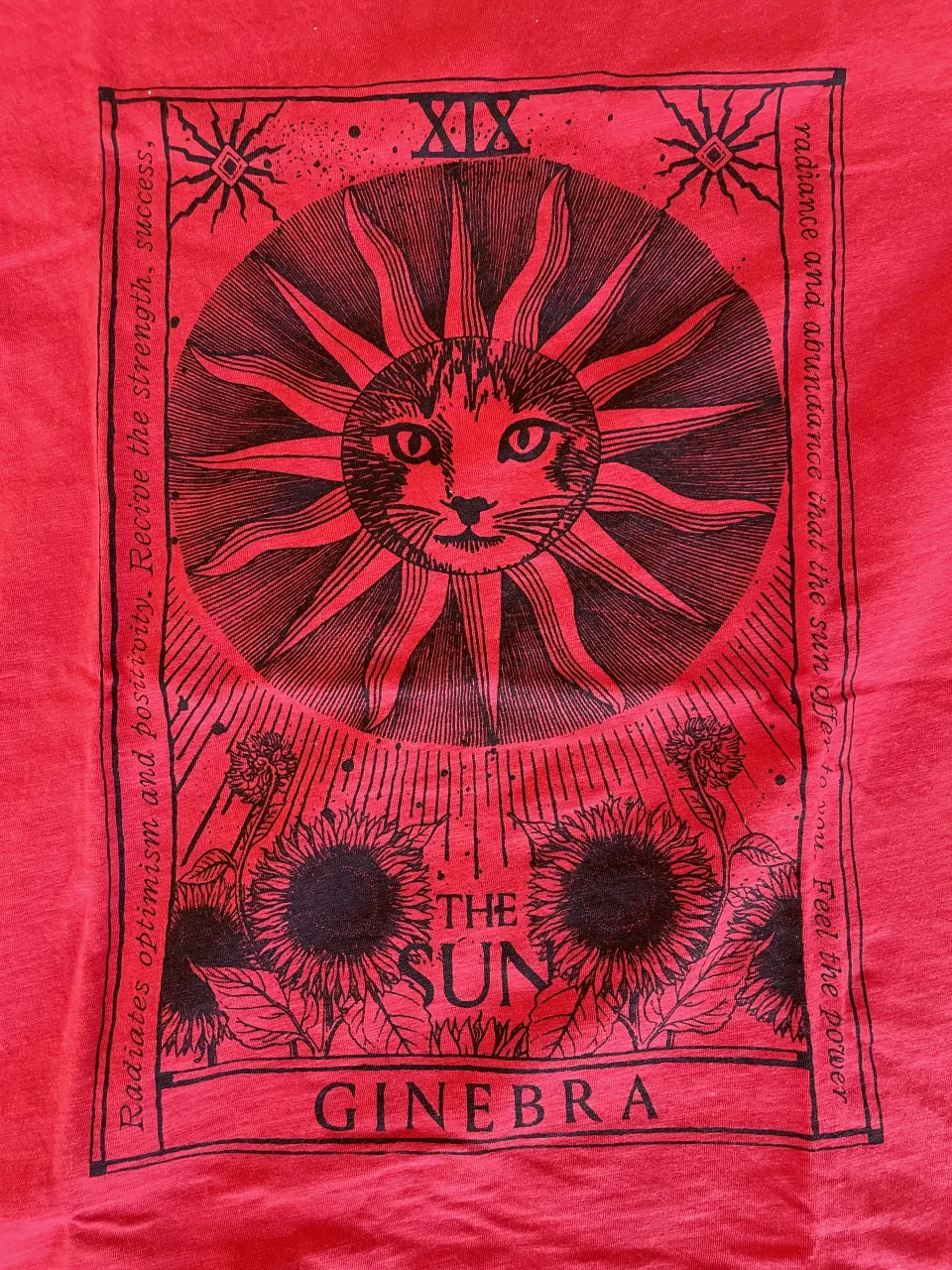 Remera Ginebra - imagen 2