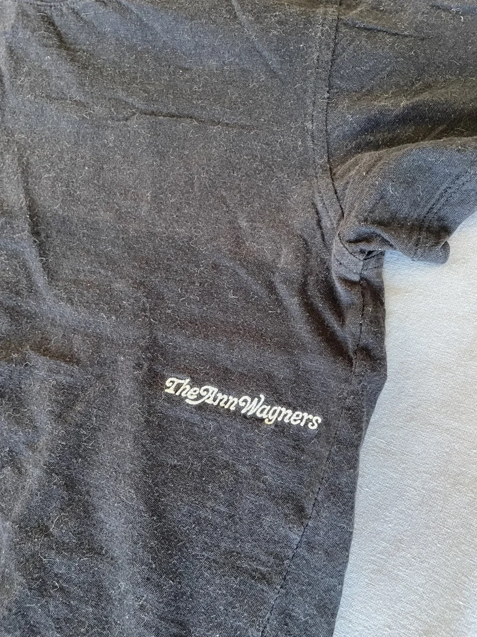 Remera The Ann Wagners - imagen 2
