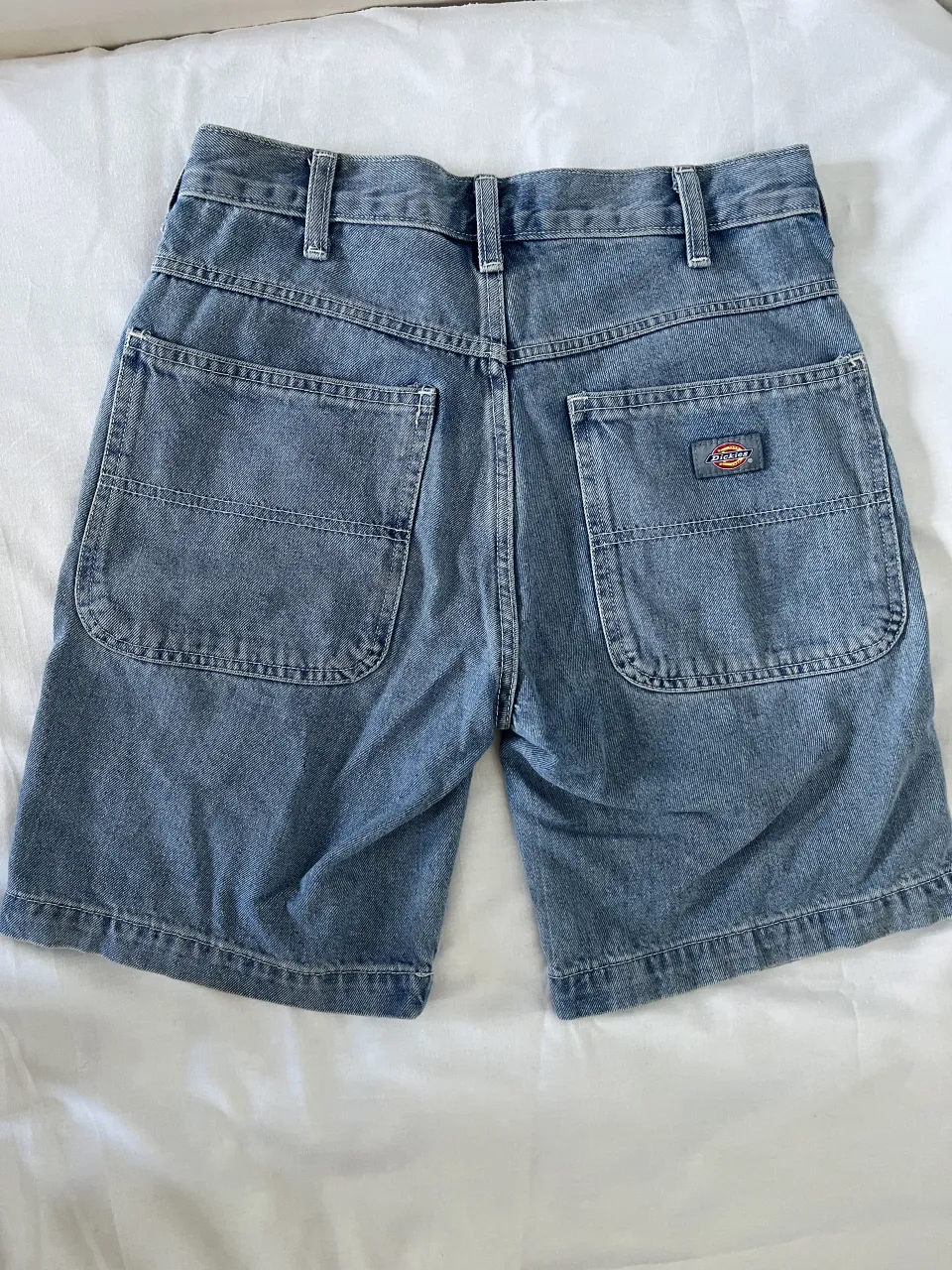 Short Dickies - imagen 2