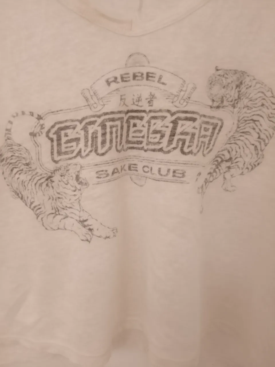 Remera Ginebra - imagen 3