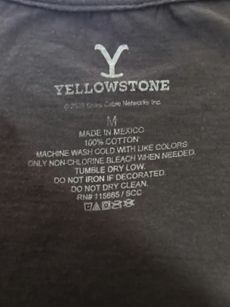Remera Yellowstone - imagen 4
