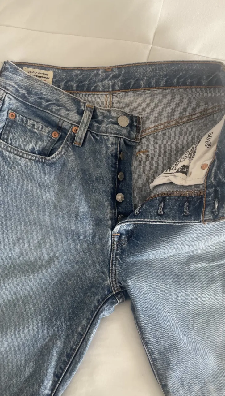 Jean Levi's miniatura 2