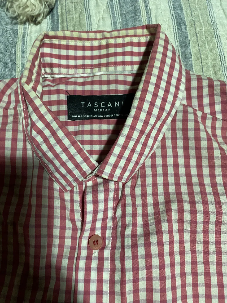 Camisa Tascani - imagen 2