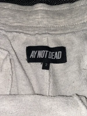 Ay Not Dead