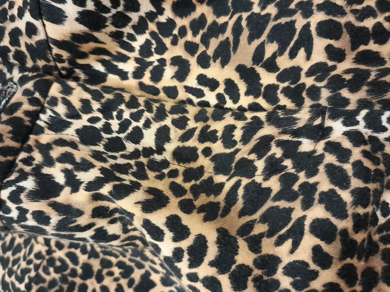 Short Michael Kors - imagen 5