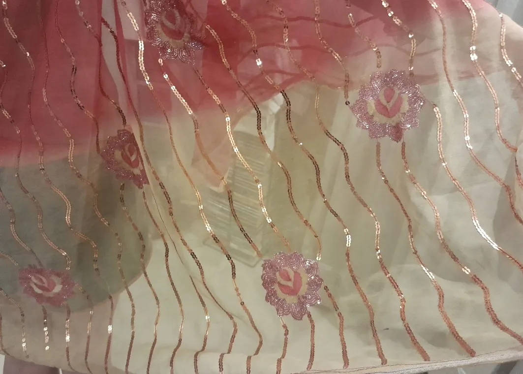 Pañuelo Lakshsmi devi - imagen 1