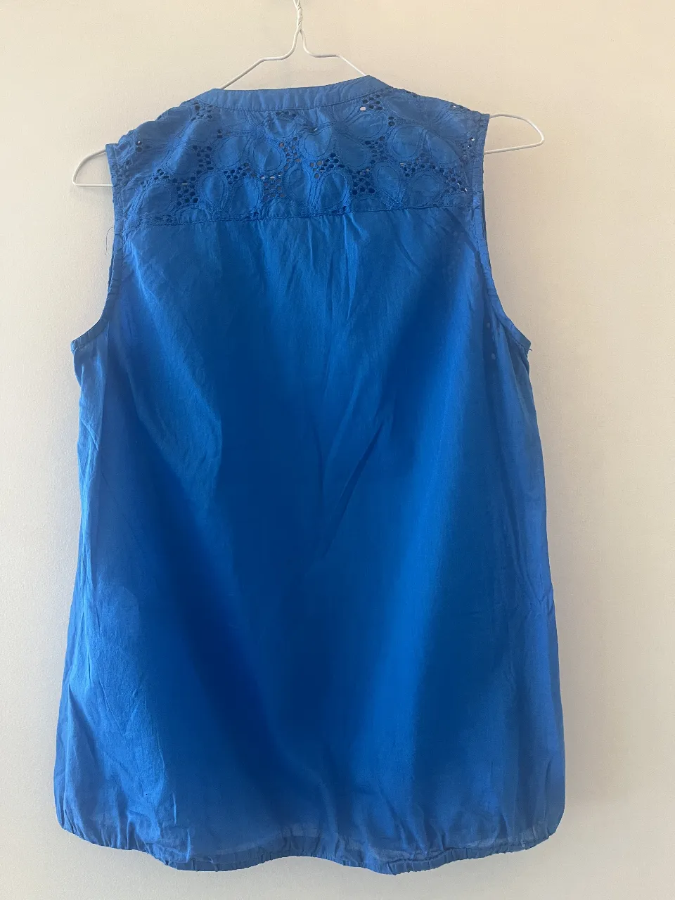Musculosa Sfera - imagen 3