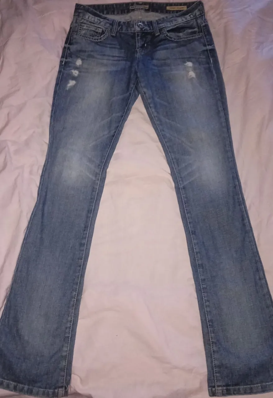Jean GUESS - imagen 2