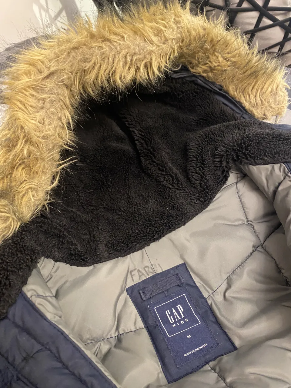 Campera bomber GAP - imagen 4