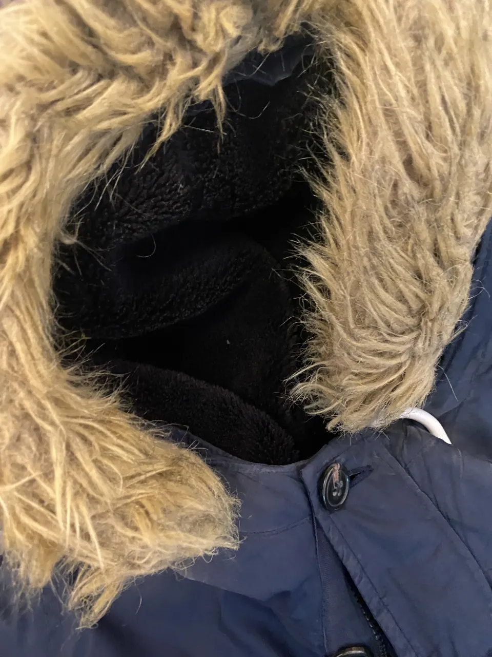 Campera bomber GAP - Vista 2