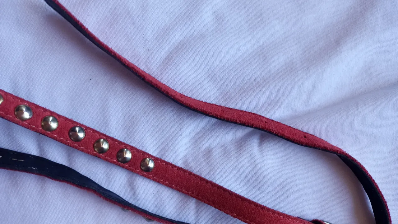 Cinturón Sin marca miniatura 4