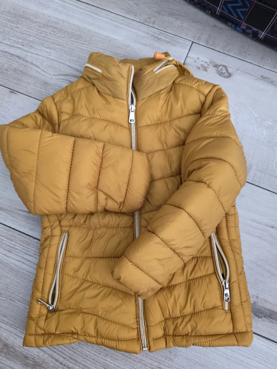 Campera bomber Polo Club - imagen 1
