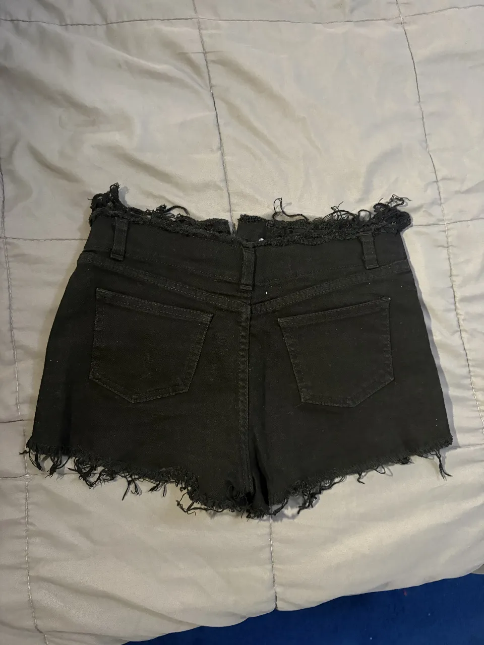 Short Socippo - imagen 2