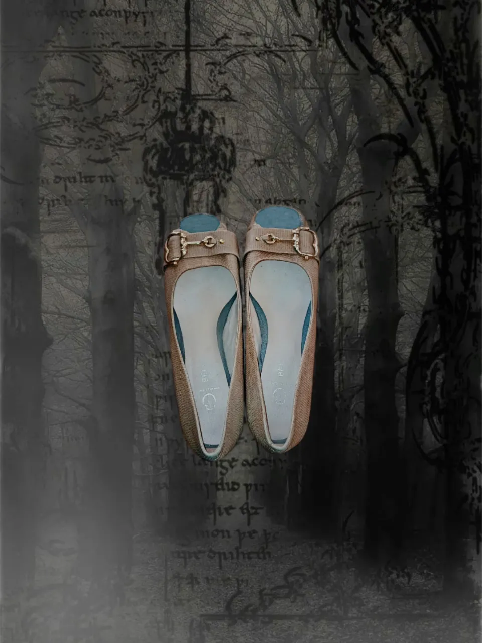 Ballerinas Sin marca - imagen 1