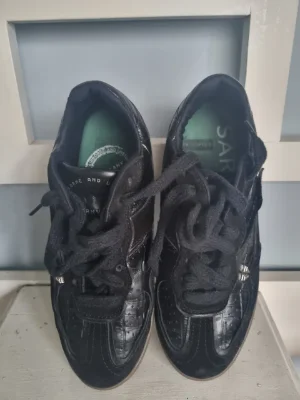 Sarkany