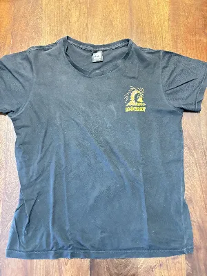 Quiksilver