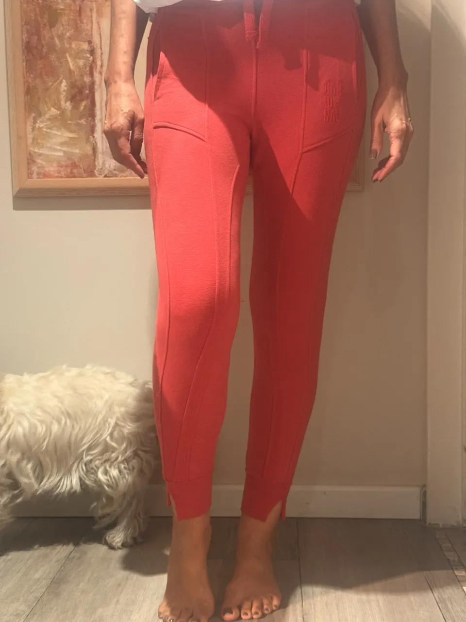 Pantalón Cardinal - imagen 2