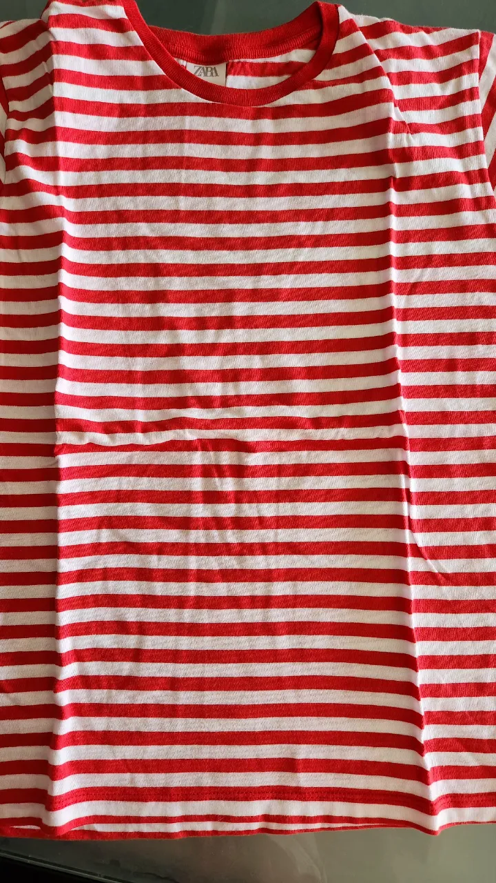 Remera Zara - Vista 3