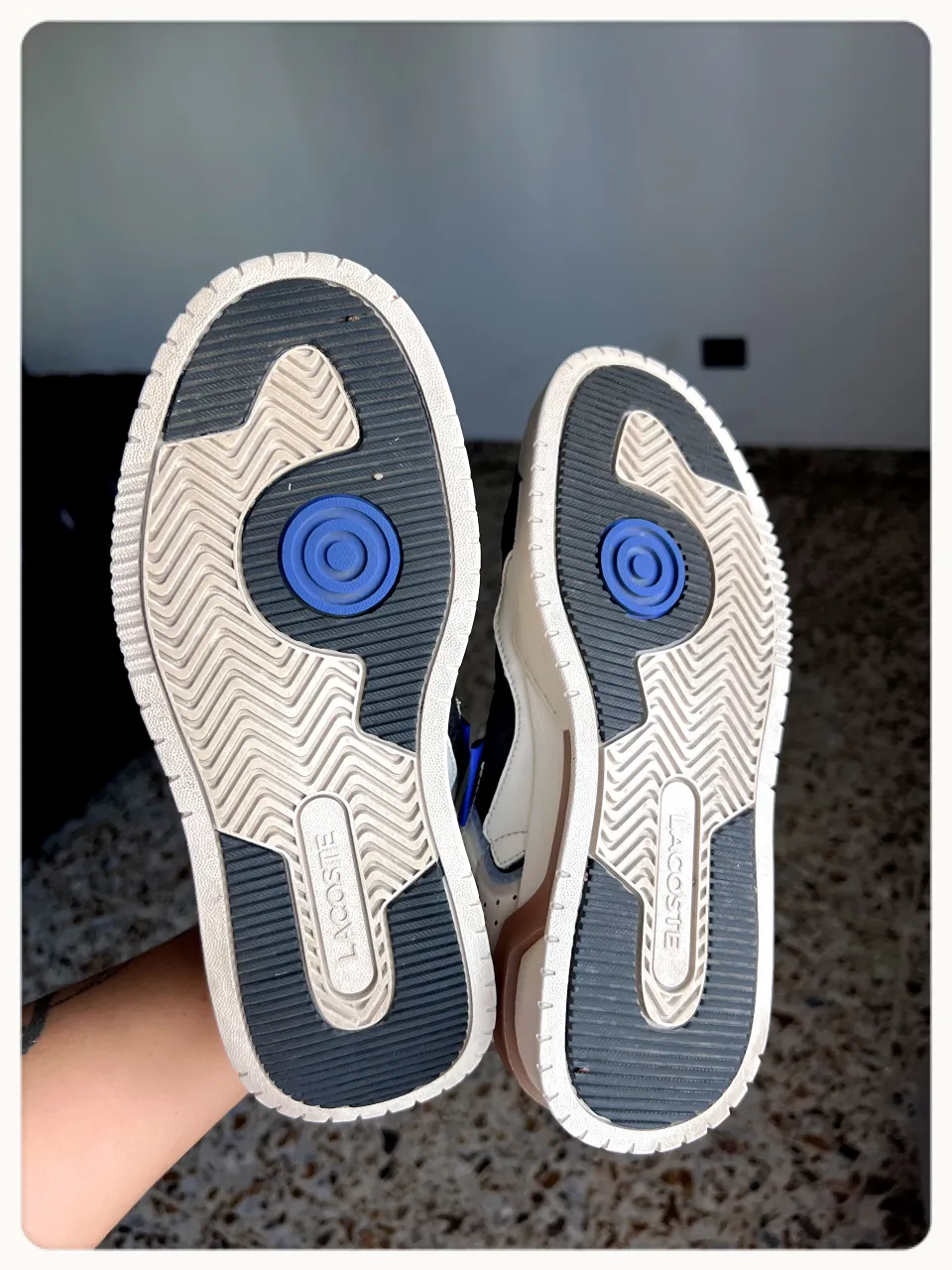 Zapatillas Lacoste - imagen 8