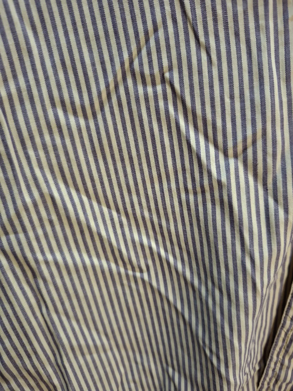 Camisa Squadra - imagen 4
