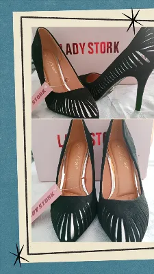 Lady Stork