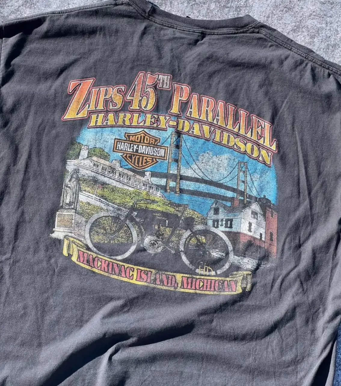 Remera Harley Davidson - imagen 3
