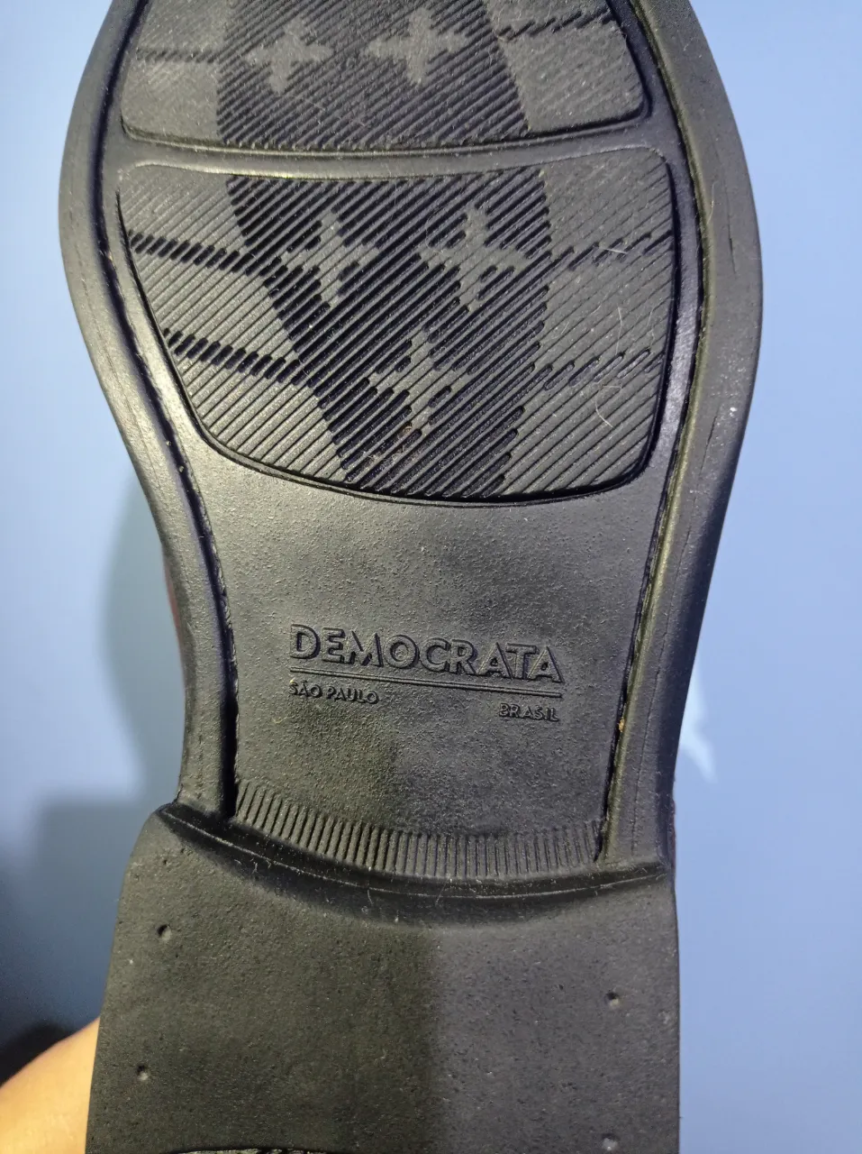 Borcegos Demócrata - imagen 3