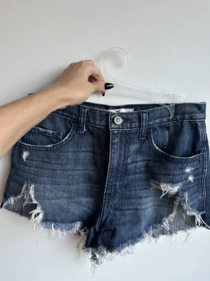 Hollister
