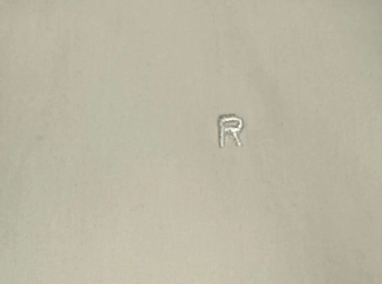 Camisa Rochas - imagen 3