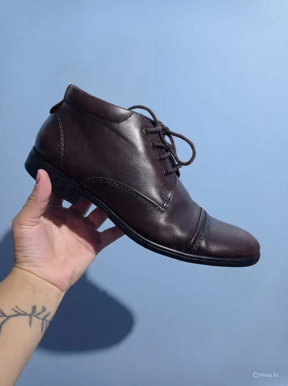 Borcegos Demócrata - Vista 2